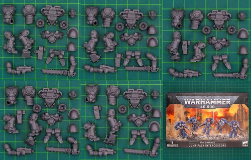 Jump pack intercessors - intercessors, (48-13)