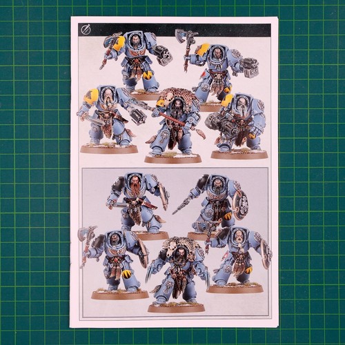 Wolf guard terminators space - wolf,